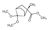 7,7-dimethoxy-2-endo-methyl-2-exo-carbomethoxybicyclo(2.2.1)heptane_96166-57-3