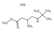 Methyl 4-t-Butylamino-3-methylbutanoate Hydrochloride_96240-00-5