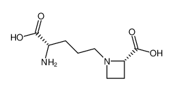 (2S,αS)-α-Amino-2-carboxy-1-azetidinpentansaeure_96287-30-8