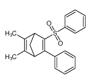 Bicyclo[2.2.1]hepta-2,5-diene, 2,3-dimethyl-5-phenyl-6-(phenylsulfonyl)-_96596-62-2