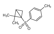 2,2-dimethyl-1-(p-tolylsulfonyl)bicyclo(1.1.0)butane_96667-60-6