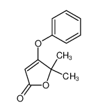 5,5-dimethyl-4-phenoxy-5H-furan-2-one_96713-52-9