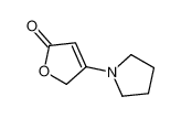 3-pyrrolidin-1-yl-2H-furan-5-one_96753-90-1