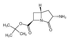 t-butyl-3-endo-amino-2-oxo-1-azabicyclo(3.2.0)heptane-7-exo-carboxylate_96960-45-1