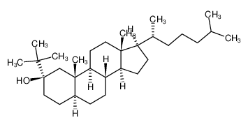 2α-t-Butyl-cholestanol-(2α)_96971-49-2