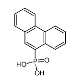 [9]phenanthryl-phosphonic acid_97031-65-7