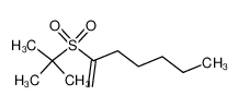 2-t-butylsulfonyl-1-heptene_97146-83-3