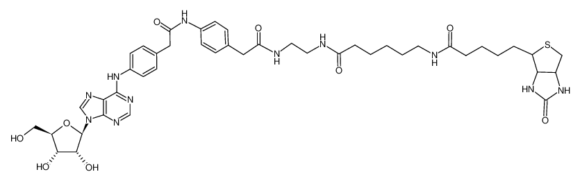 6-[5-(2-Oxo-hexahydro-thieno[3,4-d]imidazol-6-yl)-pentanoylamino]-hexanoic acid (2-{2-[4-(2-{4-[9-((2R,3R,4S,5R)-3,4-dihydroxy-5-hydroxymethyl-tetrahydro-furan-2-yl)-9H-purin-6-ylamino]-phenyl}-acetylamino)-phenyl]-acetylamino}-ethyl)-amide_97242-17-6