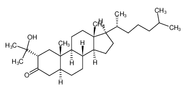 2α-(1-Hydroxy-1-methyl)-ethyl-cholestanon-(3)_97256-67-2