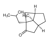 (1RS,4RS,7SR,8RS)-8-methyl-1-(2-methylpropyl)tricyclo(5.1.1.04,8)nonan-2-one_97973-61-0
