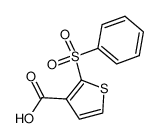 2-phenylsulfonyl-3-thiophenecarboxylic acid_98010-06-1