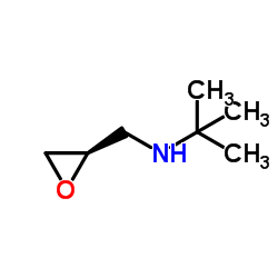 2-Methyl-N-[(2R)-2-oxiranylmethyl]-2-propanamine_98048-85-2