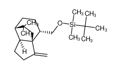 tert-Butyl-((3aR,4S,7S,7aS)-8,8-dimethyl-3-methylene-octahydro-3a,7-ethano-inden-4-ylmethoxy)-dimethyl-silane_98587-40-7