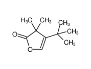 2(3H)-Furanone, 4-(1,1-dimethylethyl)-3,3-dimethyl-_98839-04-4