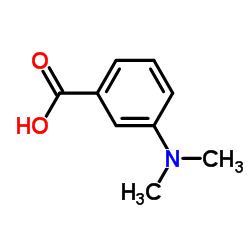 3-(Dimethylamino)benzoic acid_99-64-9