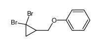 (2,2-dibromocyclopropyl)methyl phenyl ether_99058-05-6