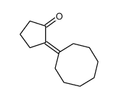 Cyclopentanone, 2-cyclooctylidene-_99655-18-2