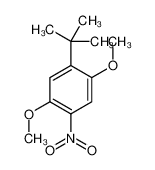 1-tert-butyl-2,5-dimethoxy-4-nitrobenzene_99758-88-0