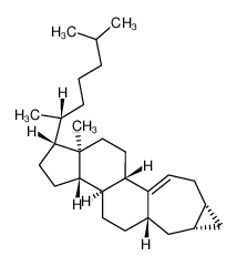 3β,4β-Cyclopropano-5α-A-homocholest-1(10)-ene_99762-18-2