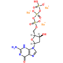 2'-Desoxyguanosin-5'-triphosphat Trinatriumsalz Hersteller, Lieferant