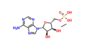 Adenosine 5'-Monophosphate