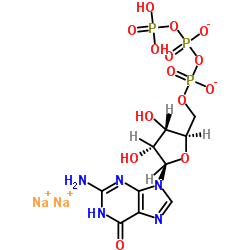 Guanosine 5'-Triphosphate Disodium Salt Hydrate