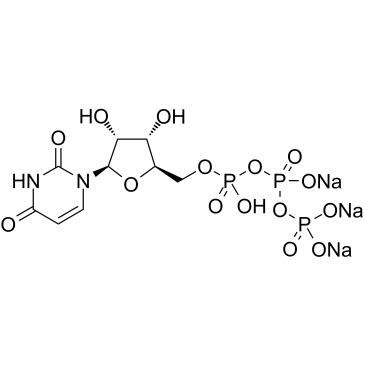 Uridine-5'-triphosphoric Acid Trisodium Salt