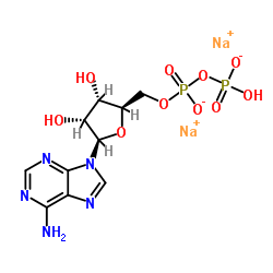 Adenosine-5'-diphosphate Disodium Salt