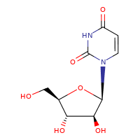1-β-D-Arabinofuranosyluracil