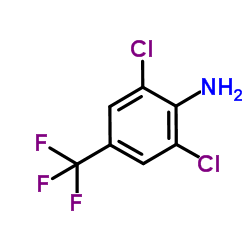 4-Amino-3,5-diclorobenzotrifluoreto fabricante, fornecedor