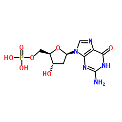 2'-Deoxyguanosine 5'-monophosphate