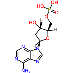 2'-Desoxyadenosin-5'-monophosphat