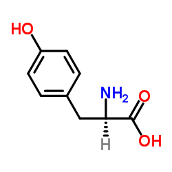 D-Tyrosine