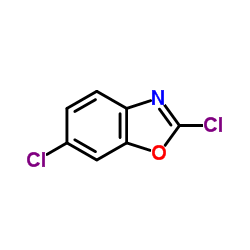 2,6-Diclorobenzoxazol fabricante, proveedor