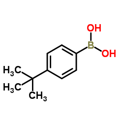Ácido 4-tert-butilfenilborónico fabricante, proveedor