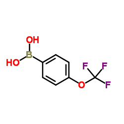 Ácido 4-Trifluorometoxifenilborônico