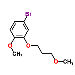 4-Bromo-1-metoxi-2-(3-metoxipropoxi)benceno fabricante, proveedor