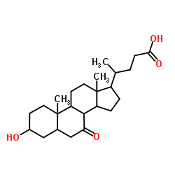 7-Oxolithocholsäure Hersteller, Lieferant