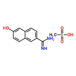 Sal de Metanosulfonato de 6-Hidroxi-2-naftimidamida