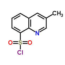 Cloruro de 3-metilquinolina-8-sulfonilo