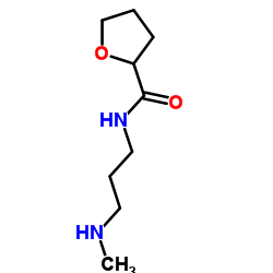 N-[3-(methylamino)propyl]oxolane-2-carboxamide