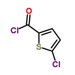 Cloreto de 5-Clorotiofeno-2-Carbonila
