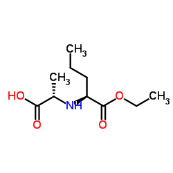 N-[(S)-Etoxcarbonil-1-Butil]-(S)-Alanina fabricante, fornecedor