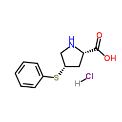(4S)-4-(Phenylthio)-L-proline Hydrochloride