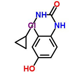 1-(2-Chloro-4-hydroxyphenyl)-3-cyclopropylurea Hersteller, Lieferant