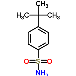4-Tert-Butylbenzenesulfonamid