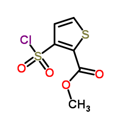 Methyl-3-chlorsulfonylthiophen-2-carboxylat