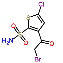 3-(2-Bromoacetil)-5-clorotiofeno-2-sulfonamida fabricante, proveedor