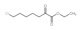 Ethyl-7-chlor-2-oxoheptanoat