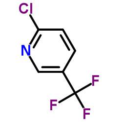2-Cloro-5-(trifluorometil)piridina fabricante, fornecedor